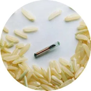 microchip